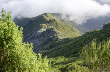Pico Ruivo yürüyüşü, bulutların üstünde, inanılmaz sihirli manzara, inanılmaz manzaralar, alçak bulutlu güneşli hava, Madeira Adası, Portekiz