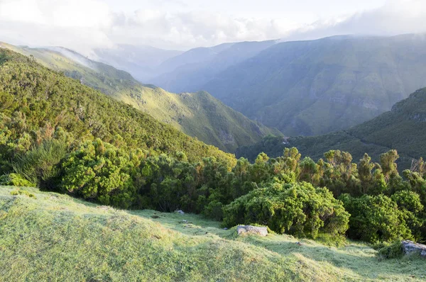 Dalen Madeirahus Madeira Portugal — Stockfoto