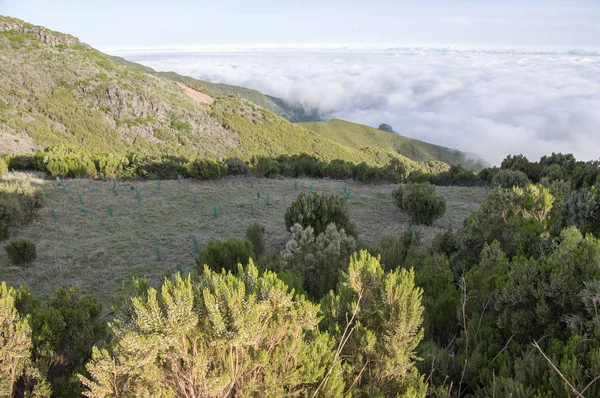 피코루 하이킹 위에서의 놀라운 마법의 수없는 구름이 포르투갈의 마데이라 — 스톡 사진
