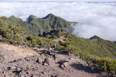 Pico Ruivo yürüyüşü, bulutların üstünde, inanılmaz sihirli manzara, inanılmaz manzaralar, alçak bulutlu güneşli hava, Madeira Adası, Portekiz