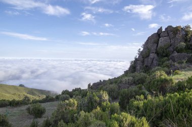 Pico Ruivo yürüyüşü, bulutların üstünde, inanılmaz sihirli manzara, inanılmaz manzaralar, alçak bulutlu güneşli hava, Madeira Adası, Portekiz