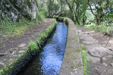 Levada 25 das fontes, iz, Rabacal, Madeira Adası, Portekiz hiking turistik