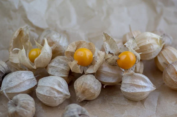 Physalis Peruviana Вкусные Апельсиновые Желтые Фрукты Сухой Шелухе Складчатой Бумаге — стоковое фото