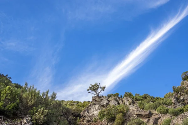 Pico Ruivo Hiking Clouds Amazing Magic Landscape Incredible Views Sunny — Stock Photo, Image