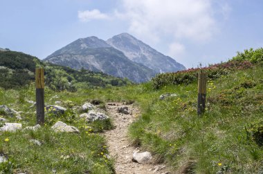Touristic trail Alta Via del Monte Baldo, ridge way in Garda Mountains, wooden sticks clipart