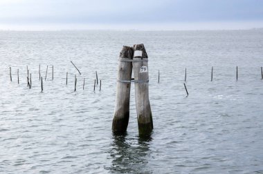 Denizde tahta tuğla Chioggia 'dan Venedik' e, İtalya 'ya giderken.