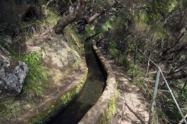 Levada 25 das fontes, iz, Rabacal, Madeira Adası, Portekiz hiking turistik