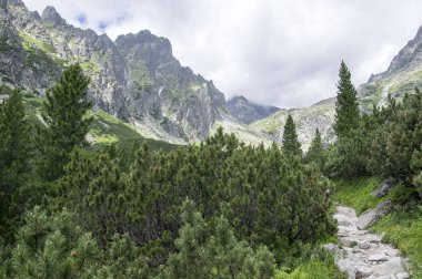 Mala studena dolina hiking trail Yüksek Tatras, yaz turizm sezonu, vahşi doğa, turistik iz