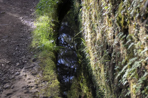 Levada Risco Sendero Turístico Rabacal Isla Madeira Portugal — Foto de Stock