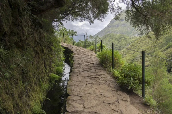 Levada do Risco, turistik yürüyüş parkuru, Rabacal, Madeira Adası, Portekiz
