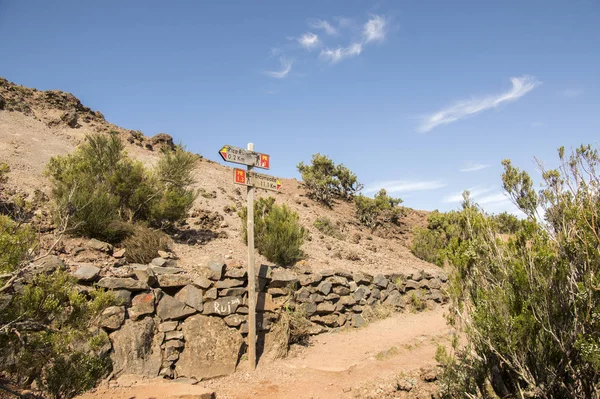 Pico hiking, Ruivo şaşırtıcı sihirli peyzaj, alçak bulutlar, Kılavuzu sonrası peak yakınındaki ile güneşli havalarda Madeira, Portekiz Adası