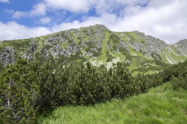 Furkot Vadisi hiking trail Yüksek Tatras, yaz turizm sezonu, vahşi doğa, turistik iz,