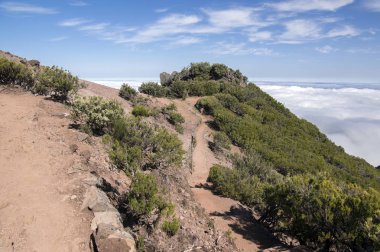 Pico Ruivo yürüyüşü, bulutların üstünde, inanılmaz sihirli manzara, inanılmaz manzaralar, alçak bulutlu güneşli hava, Madeira Adası, Portekiz