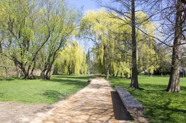 Erken baharda, yeşil doğa başına dönüp Parkı