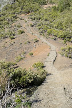 Pico Ruivo yürüyüşü, bulutların üstünde, inanılmaz sihirli manzara, inanılmaz manzaralar, alçak bulutlu güneşli hava, Madeira Adası, Portekiz
