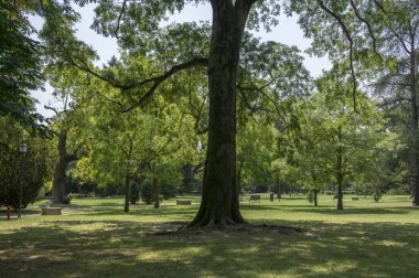 Ferrara, ağaçlar ve çim genel Şehir Parkı