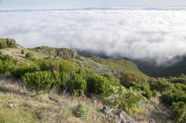 Pico Ruivo yürüyüşü, bulutların üstünde, inanılmaz sihirli manzara, inanılmaz manzaralar, alçak bulutlu güneşli hava, Madeira Adası, Portekiz