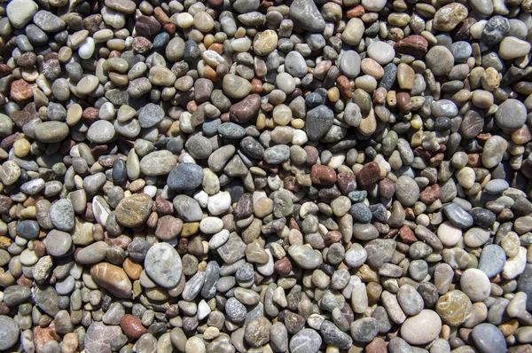 Μικρά Πολύχρωμα Βότσαλα Φόντο Μικροσκοπική Παραλία Πέτρες Διάφορα Χρώματα — Φωτογραφία Αρχείου