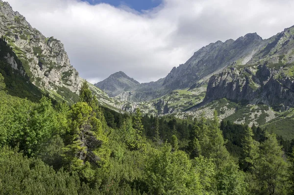 Yüksek Tatras Mlynska Dolina Vahşi Slovakya Dağlar Vadisinde — Stok fotoğraf