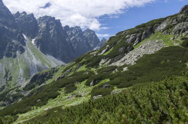 Mengusovska dolina, önemli hiking trail için yükseklik mount Rysy, yüksek Tatra Dağları, Slovakya, şaşırtıcı görüntülemek yeşil tepeler ve mavi gökyüzü ile
