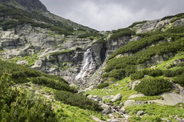 Şelale Skok Yüksek Tatras, Mlynska Dolina, turistik iz ile vahşi Slovakya dağlar vadisinde