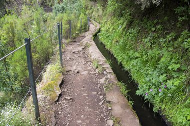 Levada 25 das fontes, iz, Rabacal, Madeira Adası, Portekiz hiking turistik