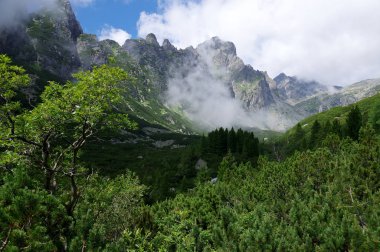 Mala studena dolina hiking trail Yüksek Tatras, yaz turizm sezonu, vahşi doğa, turistik iz
