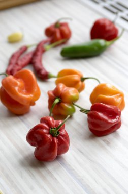 Habanero biber, acı ve jalapano, çeşitli renk ahşap masa, Meksika mutfağı çok sıcak malzemeler, olgunlaşmış ve unripened meyve grubu