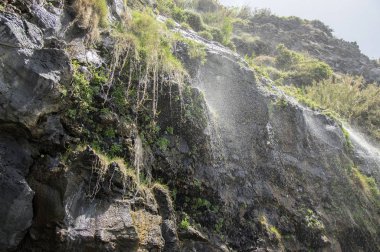 Beach Ponta de Sol çakıl plajı ve kayalık yeşil sahil şeridine kayalıklarla ve şelaleler, Madeira Adası, Portekiz