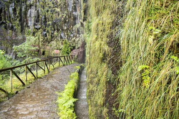 Levada Risco Touristischer Wanderweg Rabacal Insel Madeira Portugal — Stockfoto