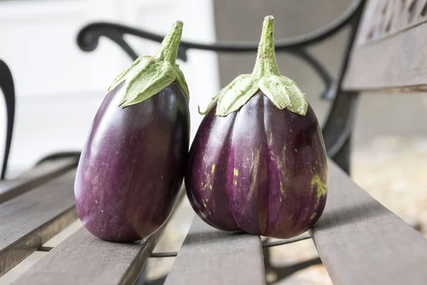 Two Aubergines Bench Daylight Eggplants Harvest Time Fresh Guinea Squash — Stock Photo, Image