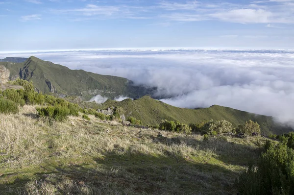 Pico Ruivo Turistika Nad Mraky Úžasná Kouzelná Krajina Neuvěřitelný Výhled — Stock fotografie