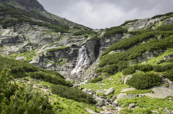 Şelale Skok Yüksek Tatras, Mlynska Dolina, turistik iz ile vahşi Slovakya dağlar vadisinde