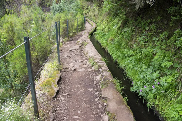 Levada Das Fontes Turistiska Vandring Trail Madeirahus Madeira Portugal — Stockfoto