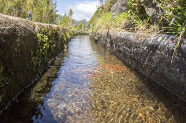 Levada 25 das fontes, sulama kanalı ayrıntı görünümü, iz, Rabacal, Madeira Adası, Portekiz hiking turistik