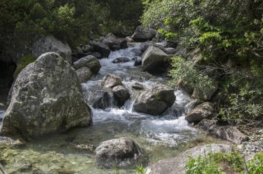Vahşi su, nehir Maly studeny potok in High Tatras, yaz turistik sezonu, vahşi doğa