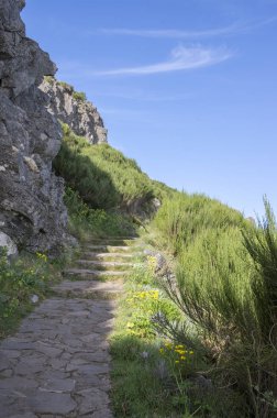 Pico Ruivo yürüyüşü, bulutların üstünde, inanılmaz sihirli manzara, inanılmaz manzaralar, alçak bulutlu güneşli hava, Madeira Adası, Portekiz