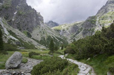 Mala studena dolina hiking trail Yüksek Tatras, yaz turizm sezonu, vahşi doğa, turistik iz