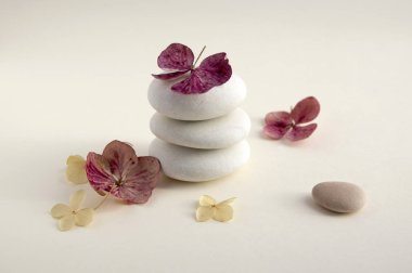 Beyaz arka planda, uyum ve denge, cairns, basit duruş taş rock zen heykel, beş beyaz çakıl, tek kule, basitlik, Kuru ortanca beyaz ve kırmızı çiçekler