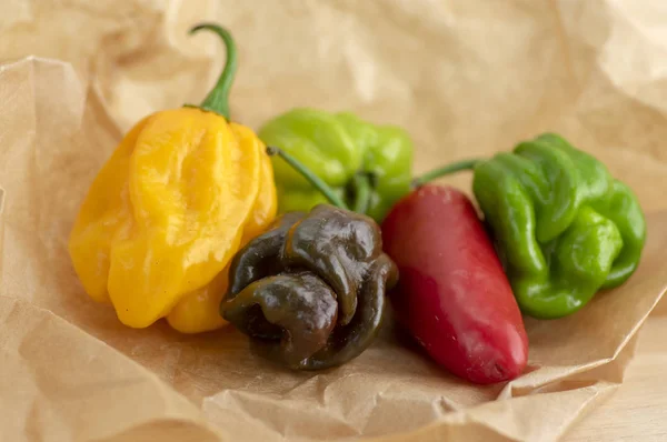 Grupo Pimentas Quentes Habanero Jalapeno Várias Cores Papel Marrom Bege — Fotografia de Stock