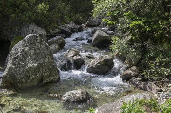 Wildes Wasser Bach Maly Studeny Potok Der Hohen Tatra Sommersaison — Stockfoto