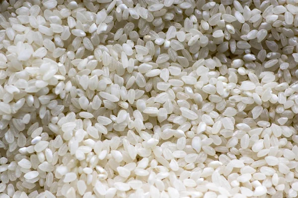 Неприготовленный Итальянский Рис — стоковое фото