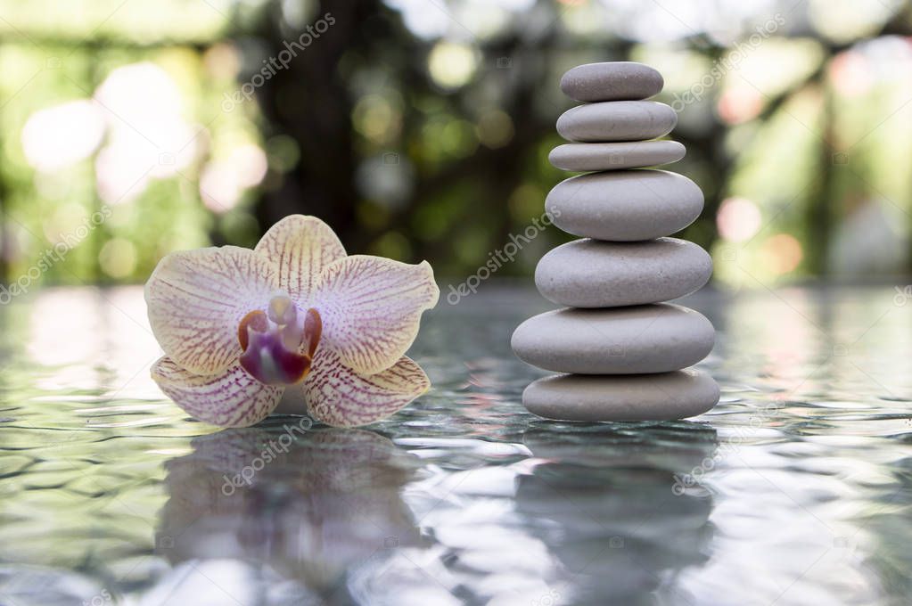 Stone cairn on green blurry background, light pebbles and stones, orchid blooming flower