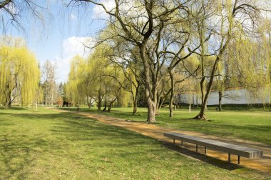 Erken baharda, yeşil doğa başına dönüp Parkı