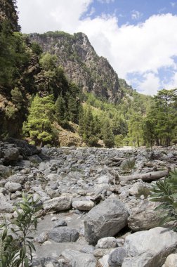 Girit Adası, doğası güneşli yaz günü, taş yol