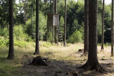 Yüksek koltuk avcılık orman, yaz, yaz için