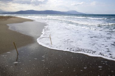 Deniz su, dalgalar, kum ve taşları, beyaz deniz köpüğü, iki bambu Polonyalılar sahile mavi bulutlu gökyüzü sıkışmış