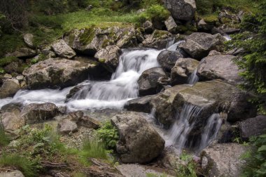 Vahşi su, nehir Maly studeny potok in High Tatras, yaz turistik sezonu, vahşi doğa