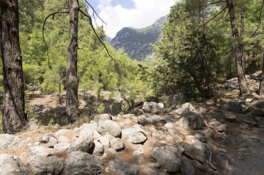 Girit Adası, doğası güneşli yaz günü, taş yol