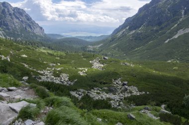 Mengusovska dolina, önemli hiking trail için yükseklik mount Rysy, yüksek Tatra Dağları, Slovakya, şaşırtıcı görüntülemek yeşil tepeler ve mavi gökyüzü ile